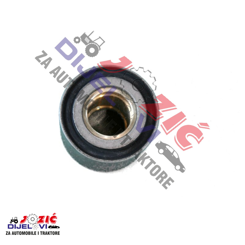 Daisy on the Ohoopee